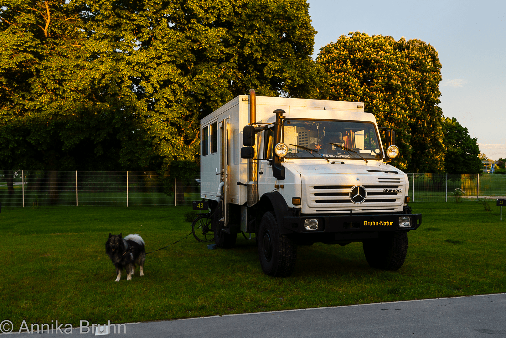 Karl der Unimog und Q im Sonnenuntergang